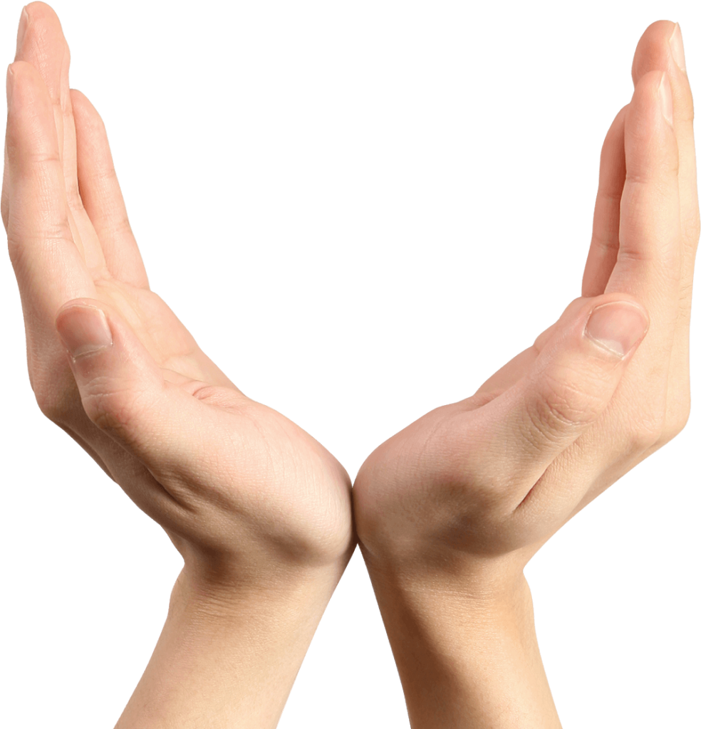 Waste Management Services